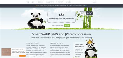 web page test image compression|TinyPNG – Web Page Image Analyzer.